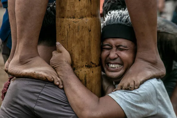 Bogor, Endonezya - 20 Ağustos 2023: Indonezya 'nın 78. Bağımsızlık Günü' nde Bogor, Batı Java 'da asılı kalan ürünler için bagajı yağlayıcı sıvıyla kaplanmış bir betel fıstığına tırmanmak için yarışan vatandaşlar