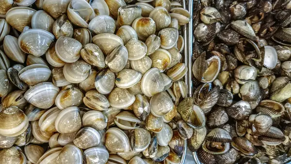 Pazarda satılan deniz ürünleri gibi taze kabuklu deniz ürünleri yığını