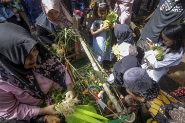 Bogor, Indonesia - July 07, 2024: Residents in Bogor, West Java, compete to collect agricultural, plantation and livestock products at the Sidekah Bumi celebration. clipart