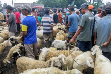 26 Mayıs 2025 'te Bogor Regency, Batı Java, Endonezya' daki en büyük hayvan pazarı olan Jonggol Hayvan Pazarı 'ndaki keçi ve koyun satış merkezindeki kalabalık.