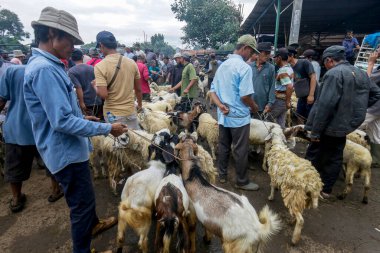 26 Mayıs 2025 'te Bogor Regency, Batı Java, Endonezya' daki en büyük hayvan pazarı olan Jonggol Hayvan Pazarı 'ndaki keçi ve koyun satış merkezindeki kalabalık.