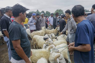 26 Mayıs 2025 'te Bogor Regency, Batı Java, Endonezya' daki en büyük hayvan pazarı olan Jonggol Hayvan Pazarı 'ndaki keçi ve koyun satış merkezindeki kalabalık.