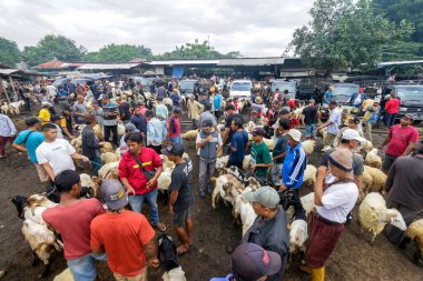 26 Mayıs 2025 'te Bogor Regency, Batı Java, Endonezya' daki en büyük hayvan pazarı olan Jonggol Hayvan Pazarı 'ndaki keçi ve koyun satış merkezindeki kalabalık.