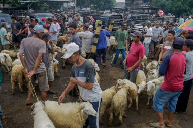 26 Mayıs 2025 'te Bogor Regency, Batı Java, Endonezya' daki en büyük hayvan pazarı olan Jonggol Hayvan Pazarı 'ndaki keçi ve koyun satış merkezindeki kalabalık.