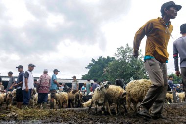 26 Mayıs 2025 'te Bogor Regency, Batı Java, Endonezya' daki en büyük hayvan pazarı olan Jonggol Hayvan Pazarı 'ndaki keçi ve koyun satış merkezindeki kalabalık.