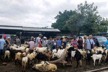 26 Mayıs 2025 'te Bogor Regency, Batı Java, Endonezya' daki en büyük hayvan pazarı olan Jonggol Hayvan Pazarı 'ndaki keçi ve koyun satış merkezindeki kalabalık.