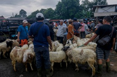 26 Mayıs 2025 'te Bogor Regency, Batı Java, Endonezya' daki en büyük hayvan pazarı olan Jonggol Hayvan Pazarı 'ndaki keçi ve koyun satış merkezindeki kalabalık.