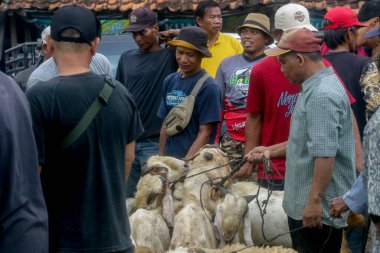 26 Mayıs 2025 'te Bogor Regency, Batı Java, Endonezya' daki en büyük hayvan pazarı olan Jonggol Hayvan Pazarı 'ndaki keçi ve koyun satış merkezindeki kalabalık.