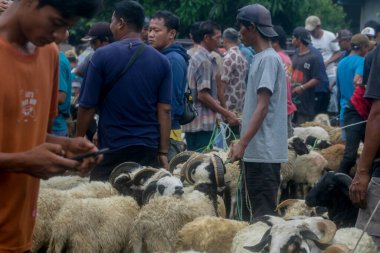 26 Mayıs 2025 'te Bogor Regency, Batı Java, Endonezya' daki en büyük hayvan pazarı olan Jonggol Hayvan Pazarı 'ndaki keçi ve koyun satış merkezindeki kalabalık.