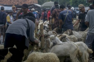 26 Mayıs 2025 'te Bogor Regency, Batı Java, Endonezya' daki en büyük hayvan pazarı olan Jonggol Hayvan Pazarı 'ndaki keçi ve koyun satış merkezindeki kalabalık.