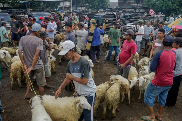 26 Mayıs 2025 'te Bogor Regency, Batı Java, Endonezya' daki en büyük hayvan pazarı olan Jonggol Hayvan Pazarı 'ndaki keçi ve koyun satış merkezindeki kalabalık.