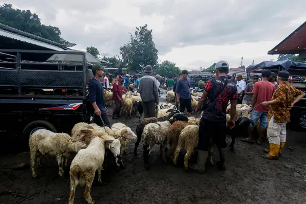 26 Mayıs 2025 'te Bogor Regency, Batı Java, Endonezya' daki en büyük hayvan pazarı olan Jonggol Hayvan Pazarı 'ndaki keçi ve koyun satış merkezindeki kalabalık.