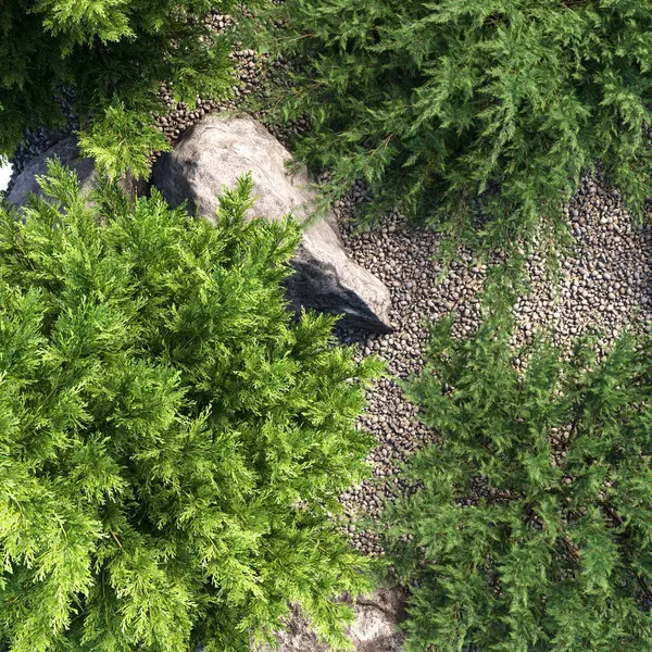 Ağacın tepesinden bir manzara. en üstteki görünüm.