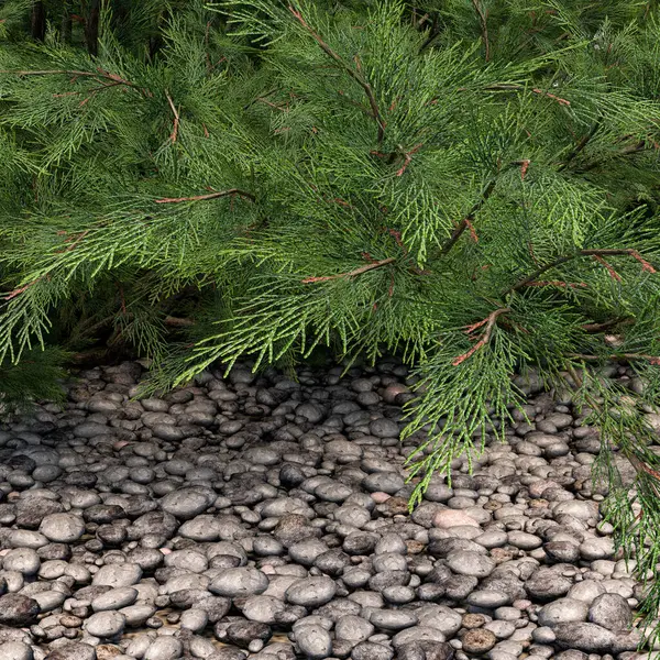 Çam kozalakları iğnelerin üzerinde