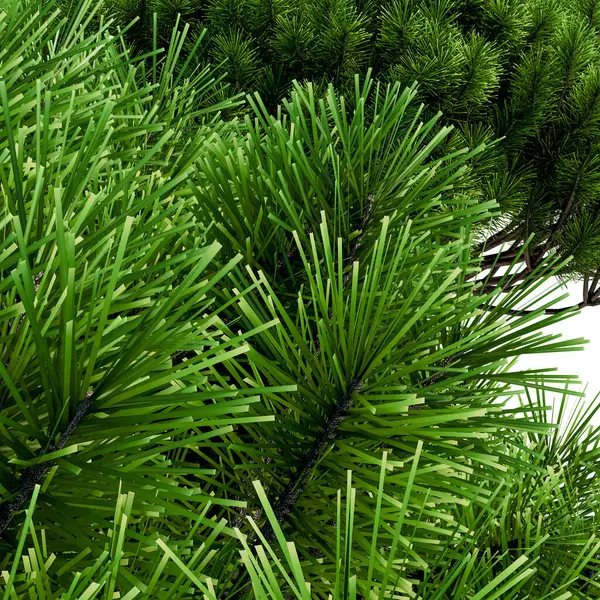 kopyalama alanı olan yeşil çimen arkaplanı.