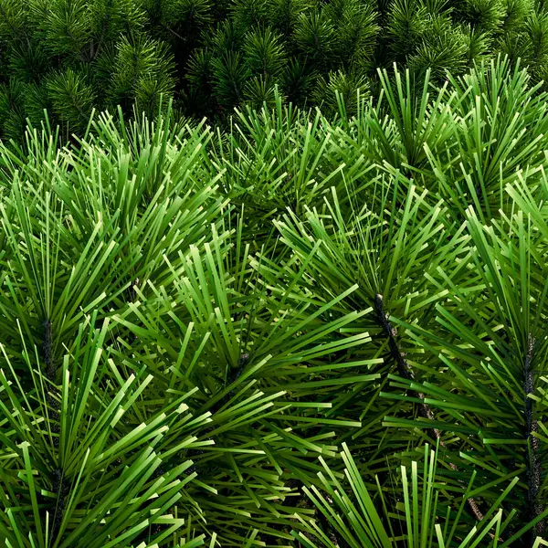 Yeşil çimlerin arkaplan dokusu