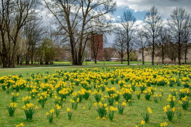 Bavyera, Almanya 'daki eski ingolstadt şehrinin manzarası