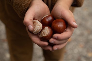 # Parkta güzel bir sonbahar manzarası # # Sonbahar parkı # # Sarı ağaçlar ve sarı otlar ile # # İngiltere 'nin Bavyera şehrinde #