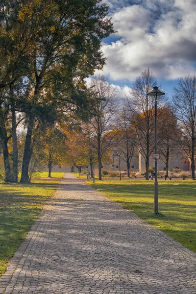 Vacker Höst Utsikt Parken Höstpark Med Gula Träd Och Gult — Stockfoto