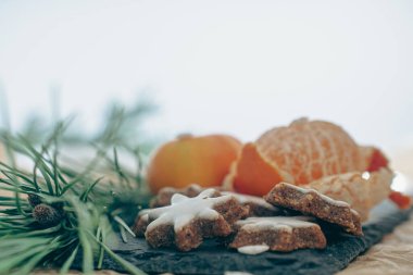 Alman Noel pastaları, zimtsterne, dresdner Stoller, schoko lebkuchen