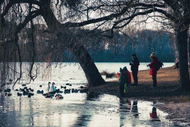 İngiltere 'de bir gölde güzel bir kış manzarası, donmuş bir göl.