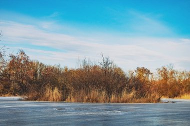 İngiltere 'de bir gölde güzel bir kış manzarası, donmuş bir göl.