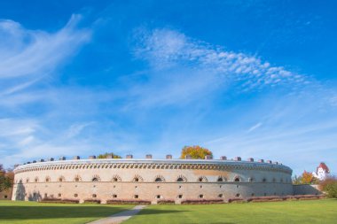 Ingolstadt şehrinde sarı ağaçlar ve sarı otlarla dolu bir sonbahar parkı.