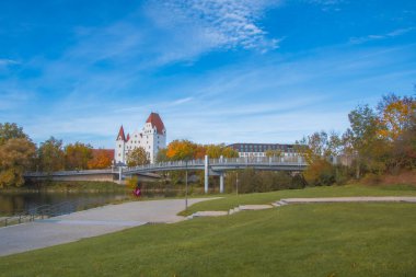 Ingolstadt şehrinde sarı ağaçlar ve sarı otlarla dolu bir sonbahar parkı.