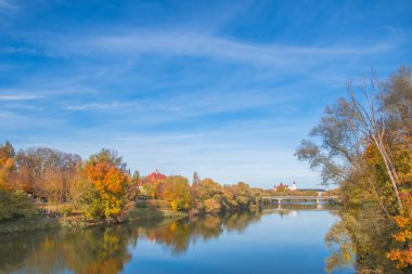 Ingolstadt şehrinde sarı ağaçlar ve sarı otlarla dolu bir sonbahar parkı.
