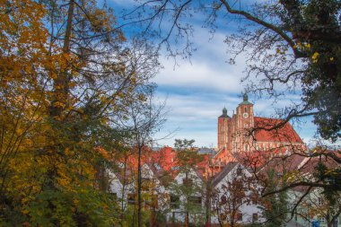 Ingolstadt şehrinde sarı ağaçlar ve sarı otlarla dolu bir sonbahar parkı.
