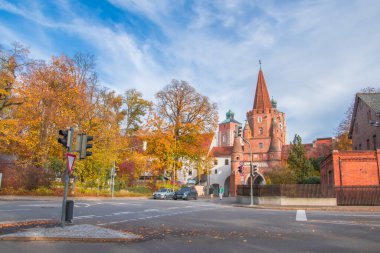 Ingolstadt şehrinde sarı ağaçlar ve sarı otlarla dolu bir sonbahar parkı.