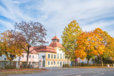 Ingolstadt şehrinde sarı ağaçlar ve sarı otlarla dolu bir sonbahar parkı.