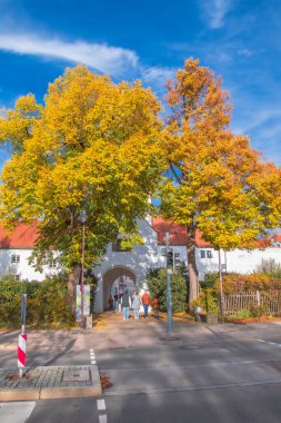 Ingolstadt şehrinde sarı ağaçlar ve sarı otlarla dolu bir sonbahar parkı.