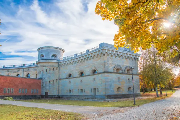 Ingolstadt şehrinde sarı ağaçlar ve sarı otlarla dolu bir sonbahar parkı.