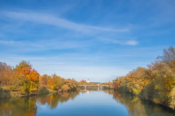Ingolstadt şehrinde sarı ağaçlar ve sarı otlarla dolu bir sonbahar parkı.