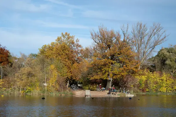 Ingolstadt şehrinde sarı ağaçlar ve sarı otlarla dolu bir sonbahar parkı.