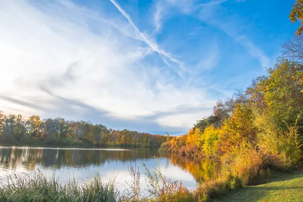 Ingolstadt şehrinde sarı ağaçlar ve sarı otlarla dolu bir sonbahar parkı.
