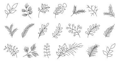 Kış yaprağı doğası ladin iğnesi siyah çizgi seti. Ladin gülü kalça, yaban mersini çam ağacı tomurcukları. İnce el çizimi öge desenli kumaş çıkartma süsleme günlük kartı izole