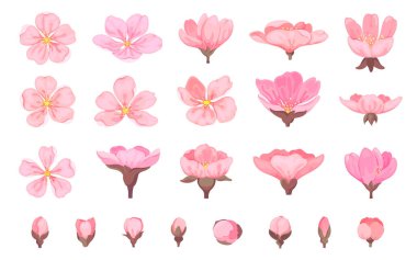 Cherry blossom flower sakura bud floral flat set. Element spring season japanese chinese plant wedding love summer decoration sticker tropical fashion blooming garden many shape petal bouton isolated