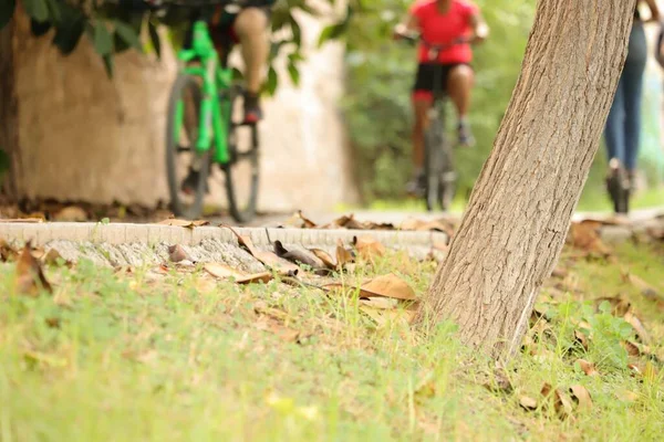 スペインのバレンシア市の芝生の横にある自転車専用レーンです — ストック写真