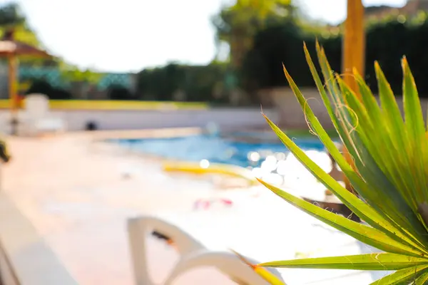Blurred View Swimming Pool — Stock Photo, Image
