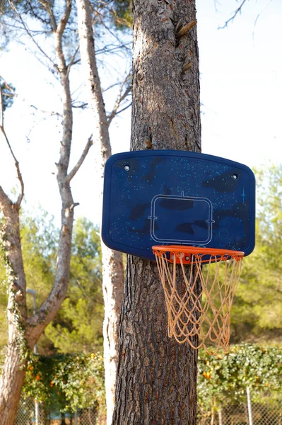 Баскетбольная Корзина Земле — стоковое фото