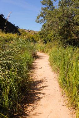Bir yaz gününde denize giden yol