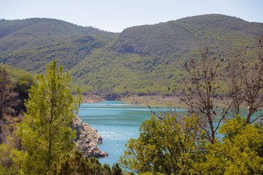 Ormandaki nehrin güzel manzarası