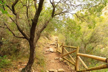 Dağ ormanlarında yol, beton, Yunan