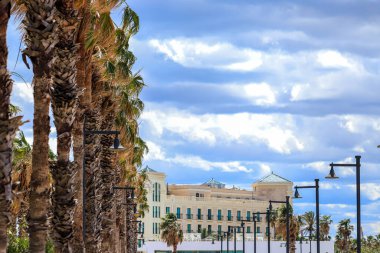 Mavi binaların arka planında palmiye ağacı.