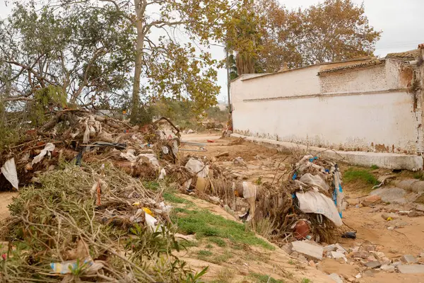 Şehrin eski kasabası.