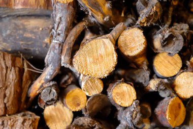 Ahşap arka plan dokusu. tahta arkaplan