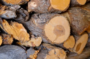 Kışın yakacak odun