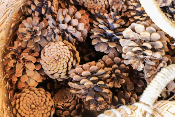 Çam kozalaklı Noel arkaplanı